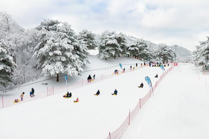 Vivaldi Park Winter Ski with Eobi Ice Valley Day Tour from Seoul - A simple Seoul winter day plan: Eobi Ice Valley plus Vivaldi Park