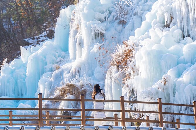 Vivaldi Park Winter Ski with Eobi Ice Valley Day Tour from Seoul - Ticket options at Vivaldi: shuttle only, ski, snowboard, gondola sight, or sled