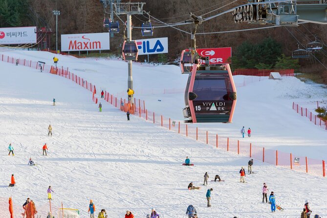 Vivaldi Park Winter Ski with Eobi Ice Valley Day Tour from Seoul - Extra fees and safety rules: the stuff to plan for now