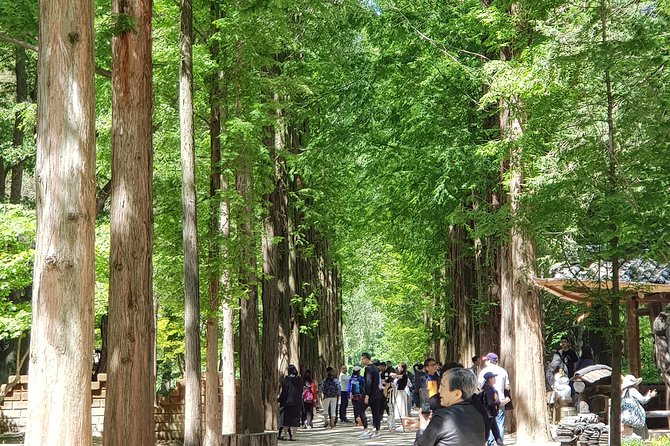 Winter Sonata TV Tour on Nami Island from Seoul - Why this Winter Sonata Nami Island day feels different