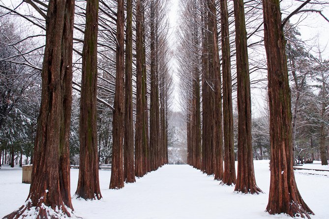 Winter Sonata TV Tour on Nami Island from Seoul - Getting out of Seoul early, and why timing matters