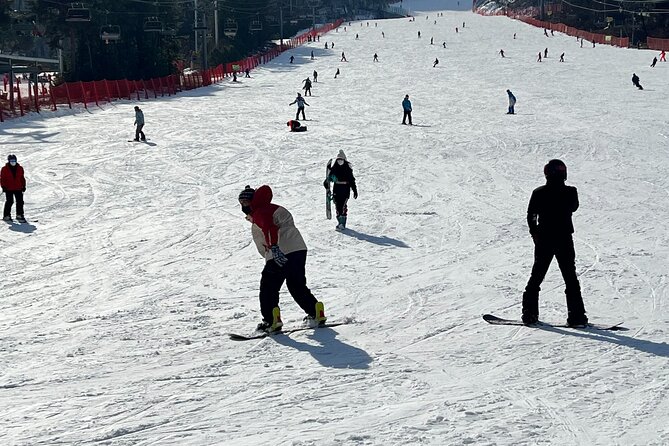 Yongpyong Ski Resort from Seoul with Optional Lesson and Packages - How the day ends in Seoul: City Hall and Myeongdong stops